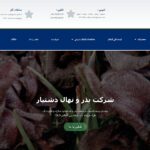 نمونه کار طراحی سایت شرکت بذر و نهال دشتیار توسط شرکت طراحی سایت و سئو ماسئو