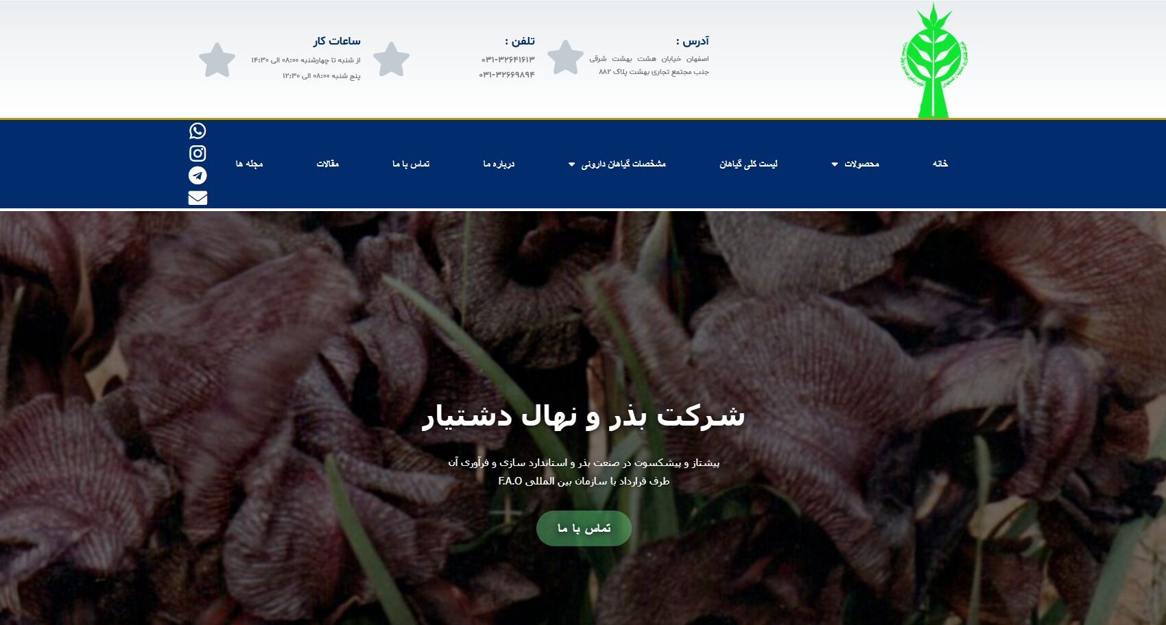 نمونه کار طراحی سایت شرکت بذر و نهال دشتیار توسط شرکت طراحی سایت و سئو ماسئو
